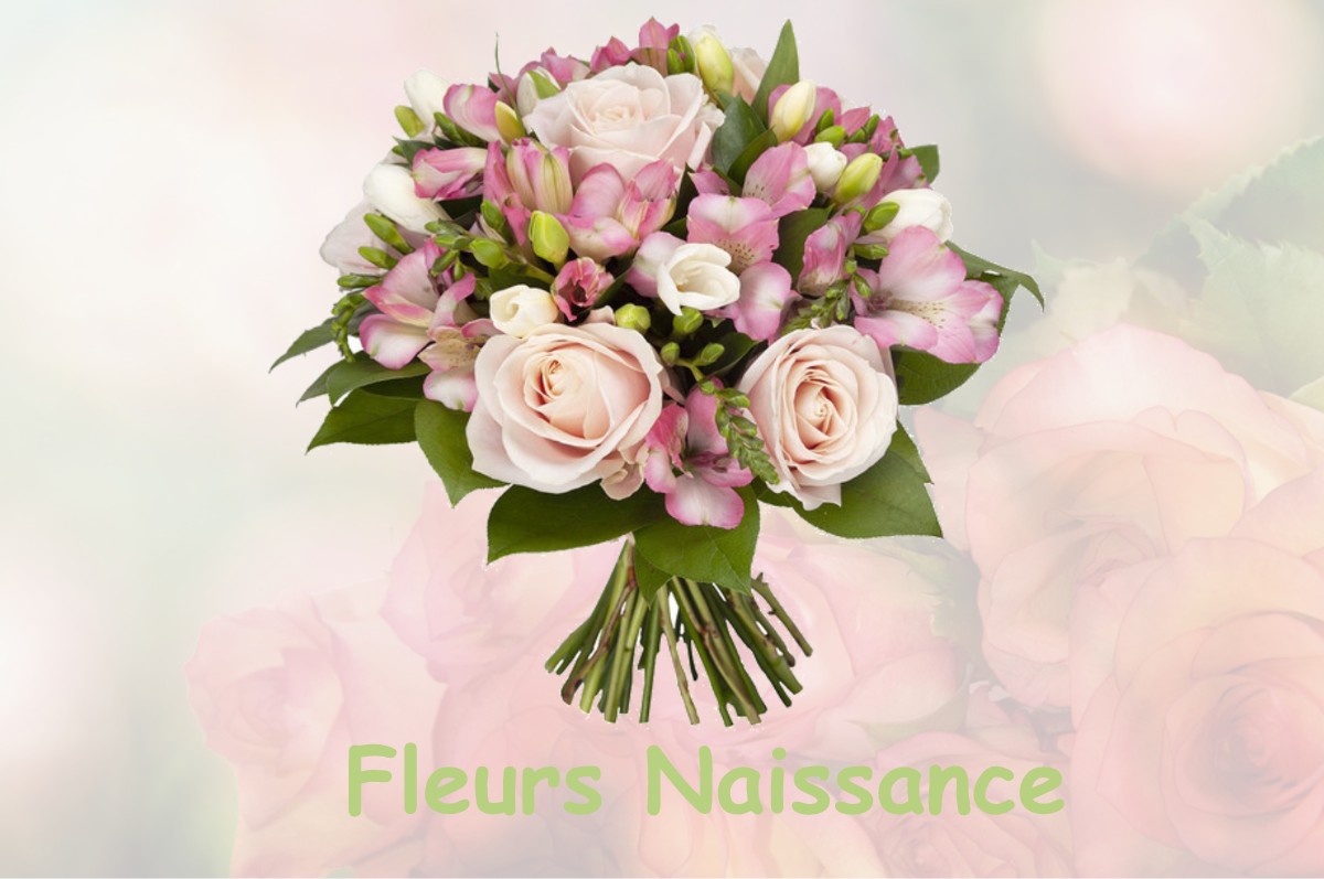 fleurs naissance SAINT-NIZIER-SUR-ARROUX